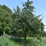 Vina Olivan Lejlighed Sarvisé