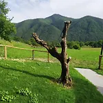 Vina Olivan Lejlighed *