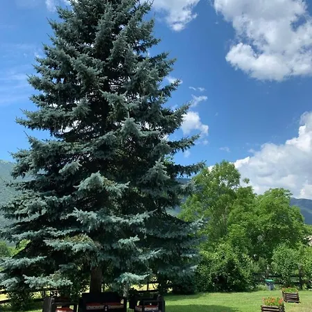 Vina Olivan Sarvisé