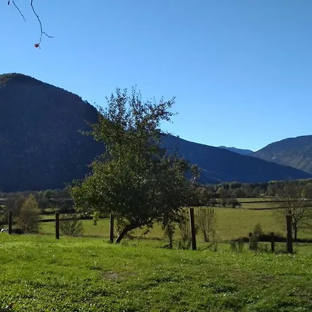 Vina Olivan Sarvisé