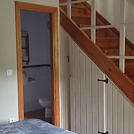 Vina Olivan * Sarvisé