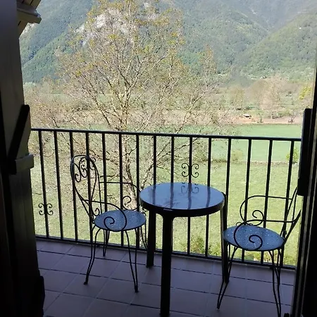 Vina Olivan Sarvisé