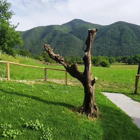 Vina Olivan 公寓 *