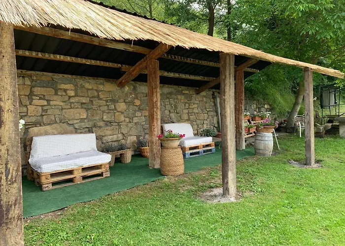 Apartman Vina Olivan Sarvisé