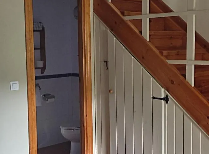 Vina Olivan * Sarvisé