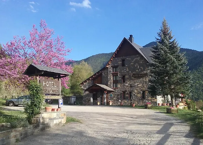 Apartman Vina Olivan *