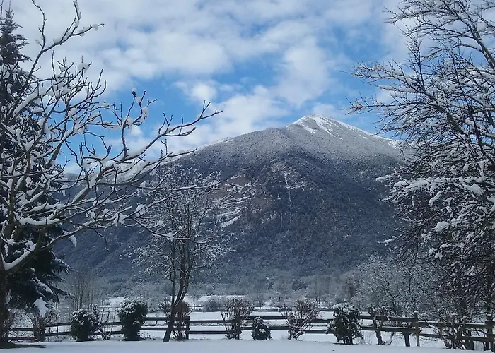 Vina Olivan Apartman